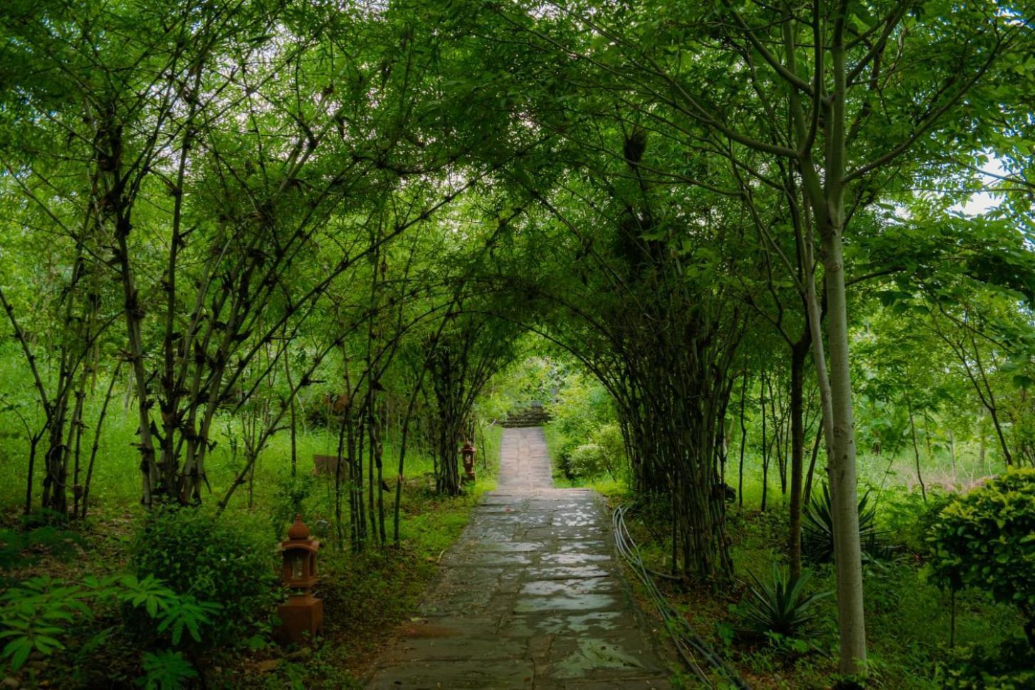 The Sky Imperial Kumbhalmer Resorts Kumbhalgarh Eksteriør billede